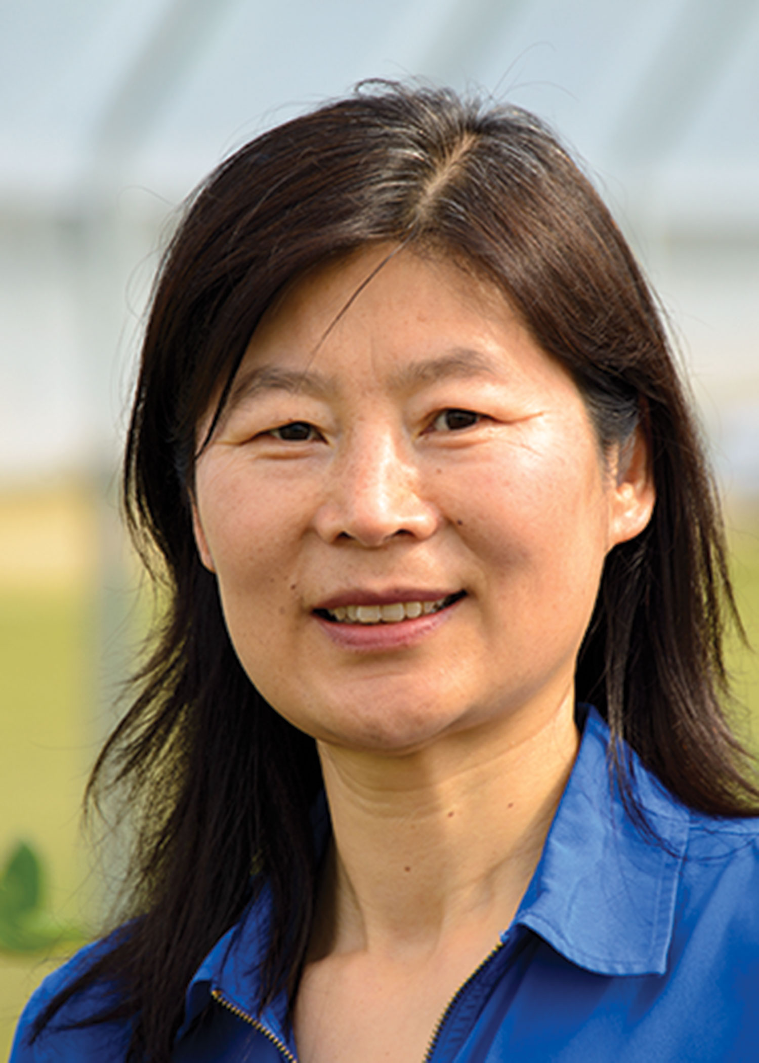 Dr. Guihong Bi